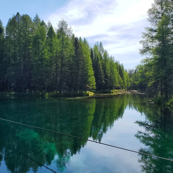 Meet your Posher, Joy - Picture 2 of 4